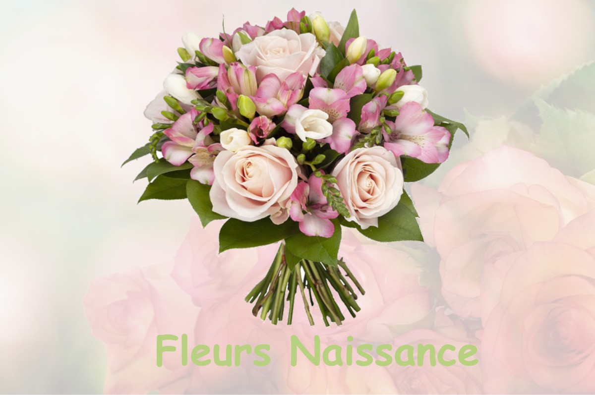 fleurs naissance SAINT-NAZAIRE-D-AUDE